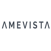 Amevista IT