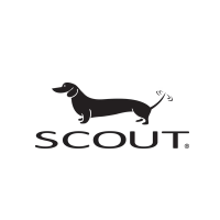 Scout Alarm